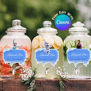 Etiquetas editáveis para bebidas de festa Frozen Elsa Anna para decorações de aniversário de menina, Elsa Anna Punch, festa de aniversário Frozen, download digital #0008