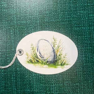 Könnte beinhalten: Ein weißer und blauer Rugbyball liegt auf grünem Gras. Der Ball ist oval geformt und hat einen weißen Hintergrund mit blauen Nähten. Das Gras ist grün und einige Grashalme ragen heraus.