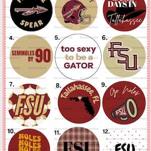 Florida State University Pins, FSU pins, Florida pins, Seminoles accessories, Game day Pins, Game Day Buttons, College Pins