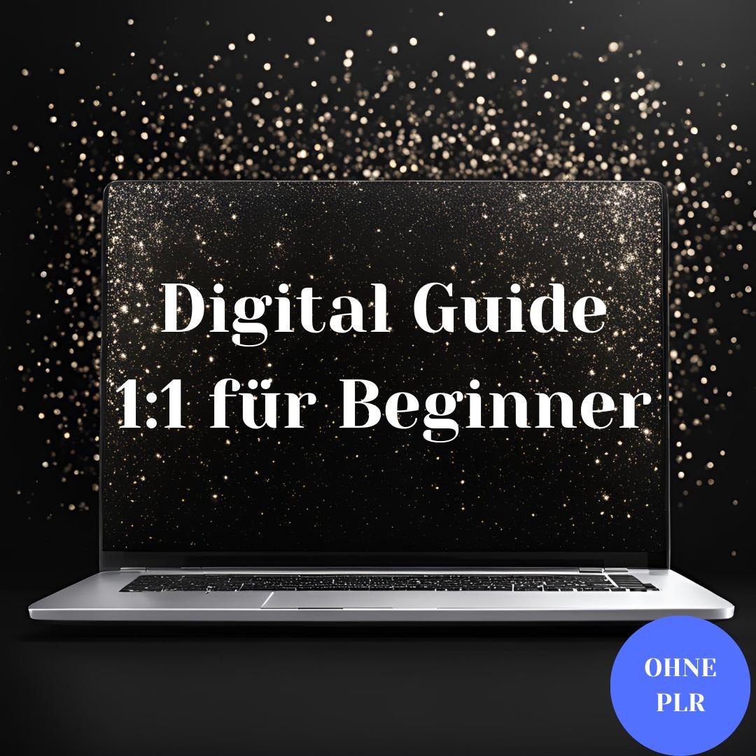 1eur Guide for Beginners 1x1 About Digital Products (WITHOUT PLR) - Etsy