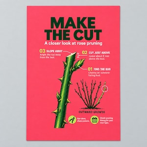 Op de afbeelding: Een felroze instructieposter met de titel MAKE THE CUT A closer look at rose pruning. Het bevat een groene rozenstengel met doorns, een diagram van uitwaartse groei en drie genummerde stappen met tekstinstructies en iconen voor snoeien.