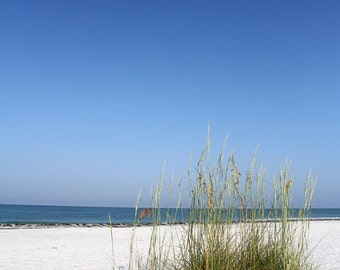 Dune Grass 1 - Lido Beach, Sarasota, FL - Fine Art Photography - 8x10, 11x14, other sizes available