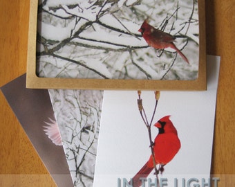 Cardinals in the Snow Photo Greeting Cards, Set of 6 - 5x7 blank inside, fine art photography card set