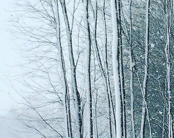 First Snowfall - Indiana Winter - iPhone Fine Art Photograpy - 6x12 panoramic, other sizes available - fPOE