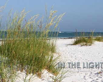 Dune Grass 2 - Lido Beach, Sarasota FL - Fine Art Photography - 12x6 panoramic, other sizes available
