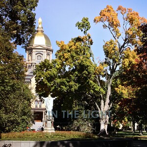 Golden Dome at University of Notre Dame in the Fall Fine Art Photography image 1