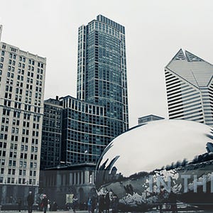 Millenium Park, Chicago, The Bean 1 - Fine Art Photography - 12x6 panoramic, other sizes available