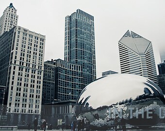 Millenium Park, Chicago, The Bean 1 - Fine Art Photography - 12x6 panoramic, other sizes available