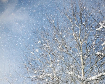 Snow Falling - Indiana Winter fine art photography