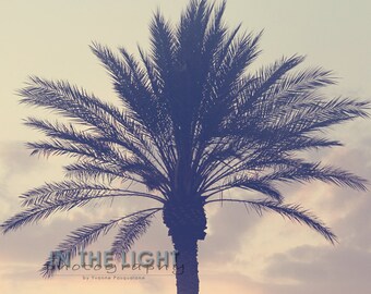 Palm Tree Sunset 4 - Treasure Island FL - Fine Art Photography - 5x5, 8x8, other sizes available