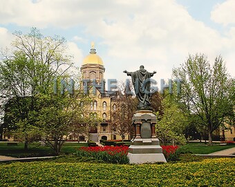 Golden Dome at University of Notre Dame and Spring Tulips - Fine Art Photography- 12x6 panoramic, other sizes available