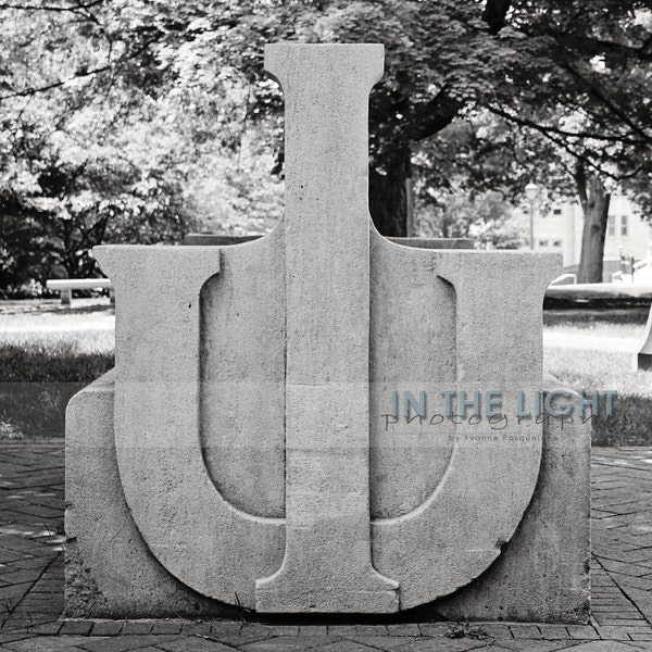 Indiana University Limestone Bench - Fine Art Photograpy - Square 8x8, 12x12, other sizes available