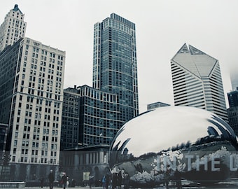 Millenium Park, Chicago, The Bean 1 - Fine Art Photograpy - 12x6 panoramic, other sizes available - fPOE