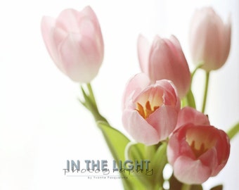 Pink Spring Tulips 2 - Fine Art Photography