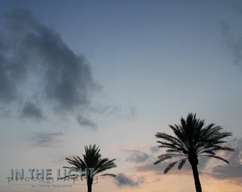 Palm Tree Sunset 5 - Treasure Island FL - Fine Art Photography - 8x10, 11x14, other sizes available
