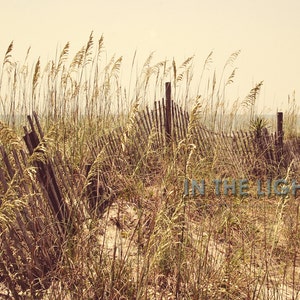 Sand Dunes in Myrtle Beach - Fine Art Photography