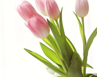 Pink Spring Tulips 1 - Fine Art Photography