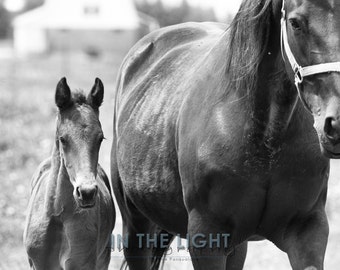 Colt and his mom - fine art photography