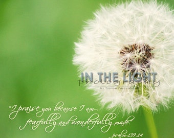 White Dandelion - Psalm 139:14 - fine art photography - Square 5x5, 8x8, 12x12, 16x16