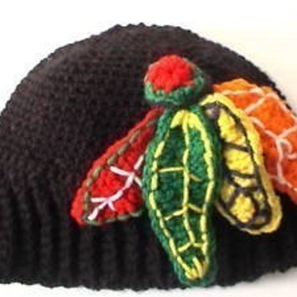 Chicago BlackHawks, Ultimate Fan Arena Hat Free US Shipping,  BABY size 14"