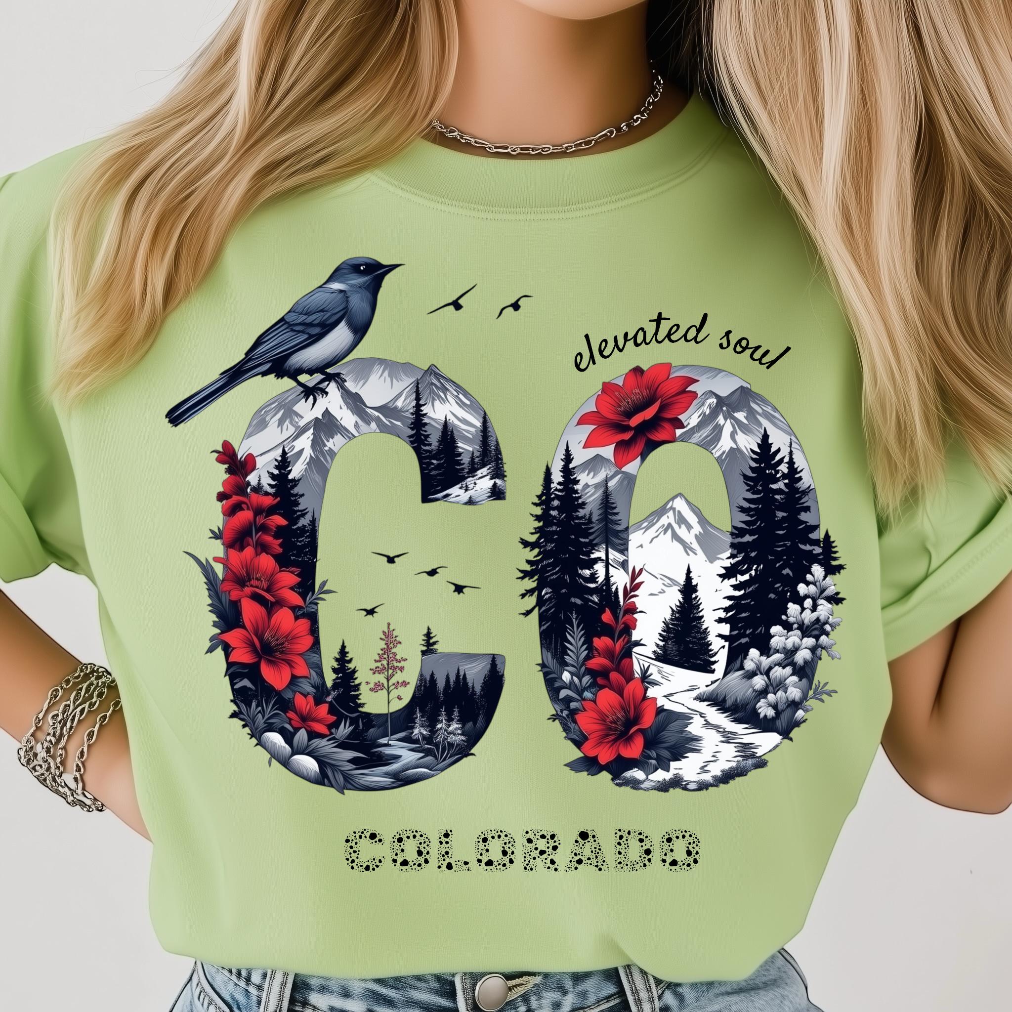 コロラド山の静けさ、花、自然風景、州のPNG：昇華デザインDTF Tシャツ