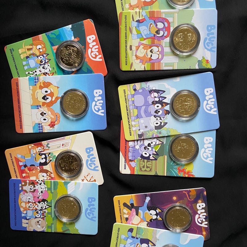 Bluey Collectible Coins - Etsy