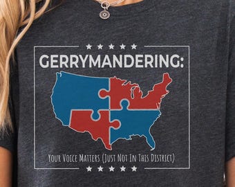 Gerrymandering Protest Shirt, Voting Rights Tee, No King in America Sweatshirt & Hoodie, Activist Liberal Feminist Top, Political Quote Tee