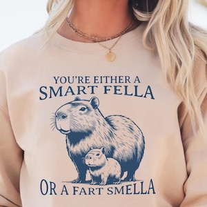 Retro Cartoon Shirt, Weird Sweatshirt, Cute Capybara Meme Hoodie, Are You A Smart Fella Or Fart Smella Unisex T-Shirt, Gifts for Her or Him