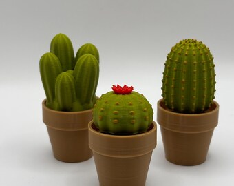 Cactus Clicky Fidget Trio: ASMR Stim Toy Set