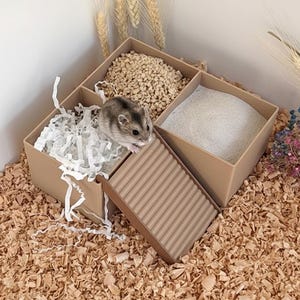 May include: A hamster in a multi-sectioned enclosure. The enclosure contains bedding, food, and sand. A small ramp provides access to one section. The enclosure is set on a bed of wood shavings. Measurements are in cm.