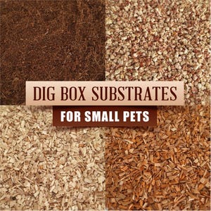 Puede incluir: Imagen que muestra cuatro sustratos diferentes para cajas de excavación para mascotas pequeñas. Los sustratos incluyen fibra de coco marrón oscuro, pequeños guijarros beige y rojos, astillas de madera claras y astillas de madera más oscuras. El texto dice "DIG BOX SUBSTRATES FOR SMALL PETS."