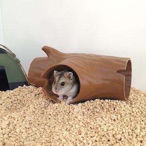 Può includere: Un piccolo criceto grigio e bianco sbuca da un nascondiglio a forma di tronco di plastica marrone. Il criceto è circondato da lettiera di colore chiaro, con una struttura a forma di tenda verde e nera sullo sfondo.