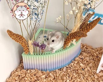 May include: A small gray and white hamster sits inside a semi-circular, ribbed pastel container featuring a gradient of mint green, lavender, and blue. The container holds dried flowers and millet sprays, with a cartoon hamster icon above.