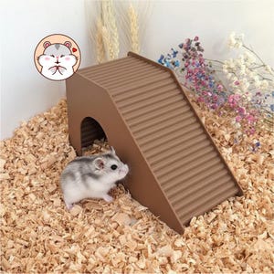 Hamster House with Climbing Ladder, Custom Color Small Pet Hideout, Dwarf Hamster Exercise Hut, Gerbil Mouse Cage Decor