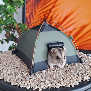 Puede incluir: Un pequeño hámster gris asoma por la entrada de una tienda de campaña en miniatura verde y negra. La tienda está colocada sobre un lecho de pequeños guijarros de color claro, creando un hábitat acogedor con temática al aire libre para la mascota.