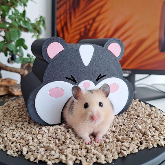 Home for Small Dwarf Comfortable and Eco-friendly