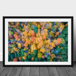 Adirondacks Fall Color Landscape Wall Art: Nature Photography Adventure Print