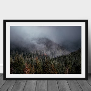 May include: A black framed photograph of a misty forest scene. The trees are dark green and the fog is a light gray. The image is taken from a low angle, looking up at the trees.