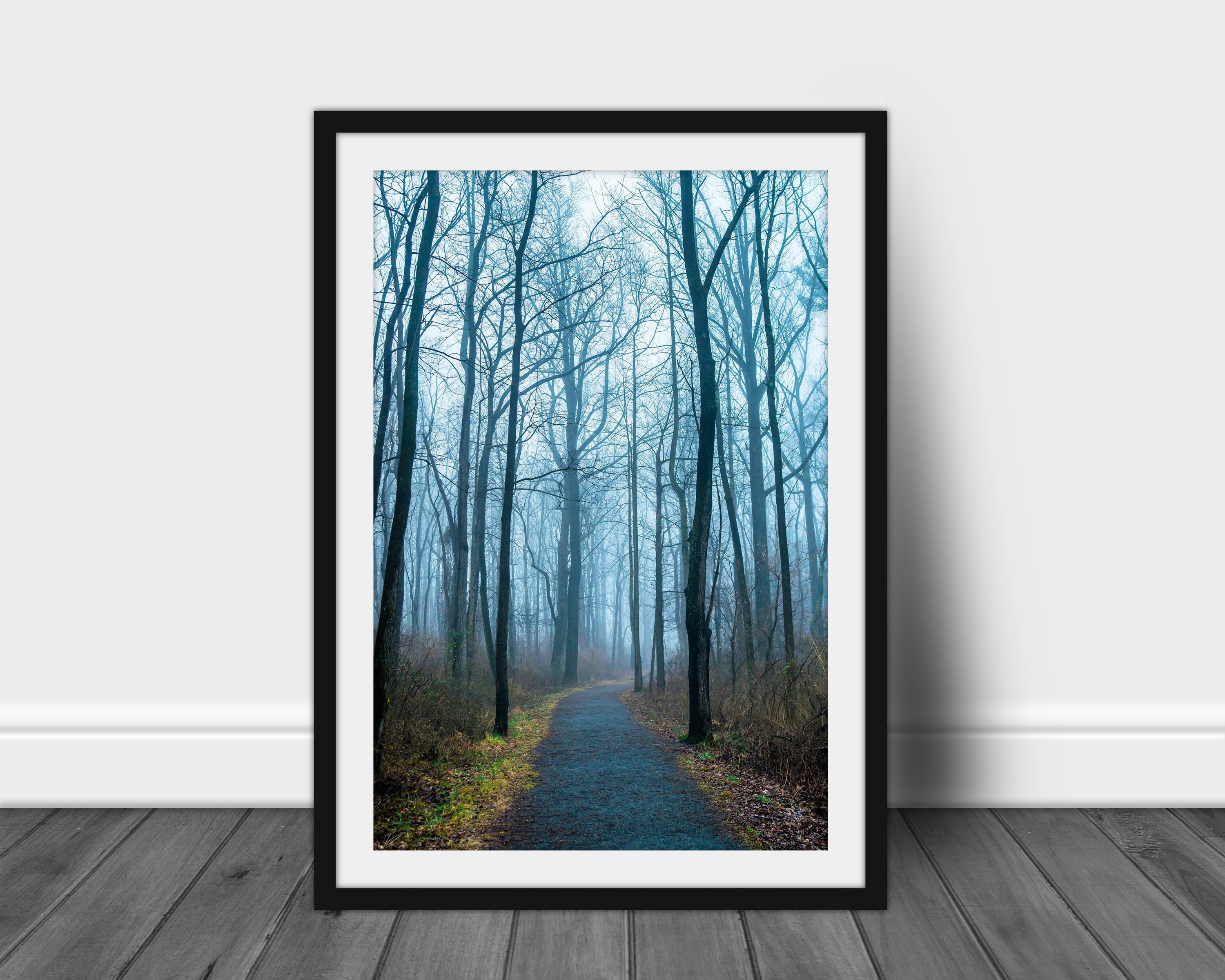 Foggy Forest Path Print: Jacobsburg State Park Photography - Etsy