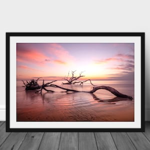 Old Tree - Jekyll Island GA, Sunset Beach photography, Tree Photography