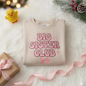Sweatshirt grote zus borduurwerk, shirt aankondiging broer of zus, nieuw shirt baby broer of zus voor grote zussen, babyshowercadeau, kerstcadeau