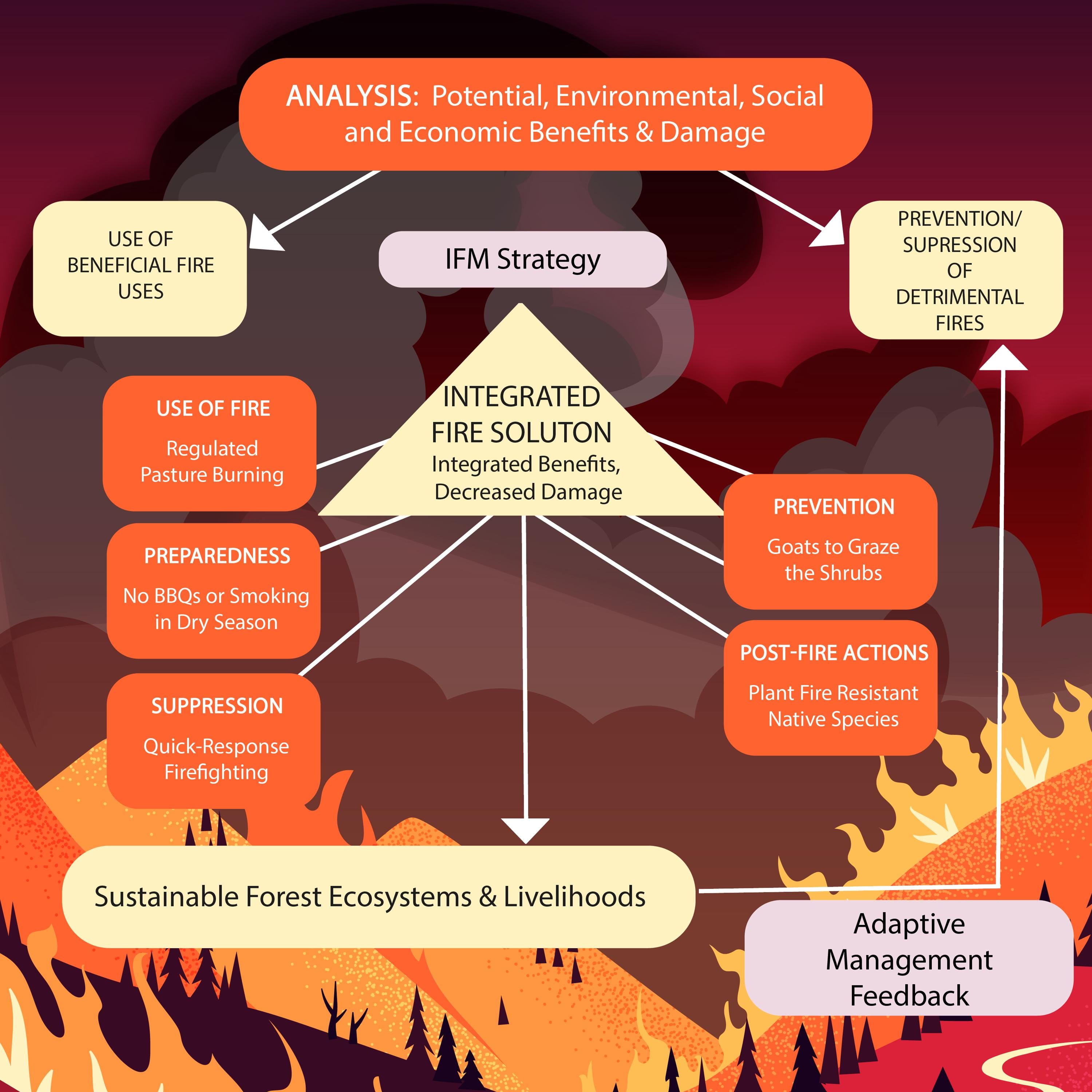 Wildfire Science Posters: Causes, Effects, Prevention (digital Download ...