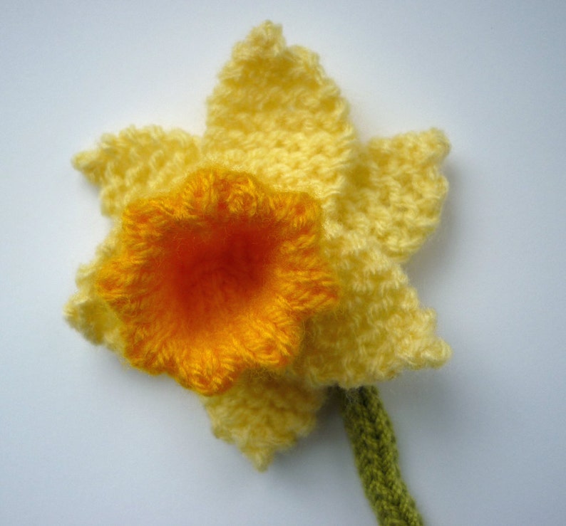 Daffodils Knitting Pattern Etsy Australia