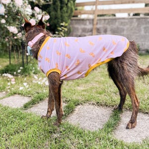Chaleco UPF50 para perros / Camiseta con protección solar para perros / Chaleco UPF50 para galgos / Traje de baño para perros / Ropa de protección solar para perros