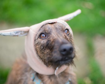 Dobby/ Harry Pawter Dog Beanie, Harry Pawter Dog Costume, Dobby Dog Costume, Dog hat, Dog snood