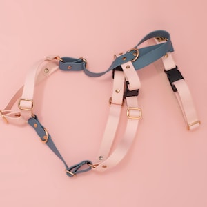 Puede incluir: Un arnés para mascota que presenta una combinación de correas en color rosa claro y azul polvoriento. El arnés incluye herrajes metálicos en tono dorado, como anillas en D y deslizadores ajustables, junto con hebillas de plástico negro.
