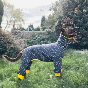 May include: A dark gray dog jumpsuit featuring a repeating white pattern of small paw prints. The garment includes a high turtleneck collar, long sleeves for all four legs, and bright yellow trim at the cuffs, leg openings, and collar edge.