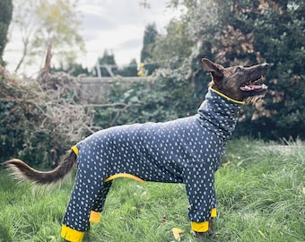 Dog 4-legged pyjamas / Greyhound 4-legged pyjamas/ Iggy pyjamas / Galgo pyjamas/ Greyhound clothes/ Whippet pyjamas/ Whippet 4-legged pyjama