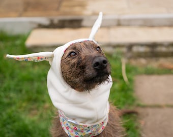 Bunny Dog Snood, Greyhound Snood, Greyhound Neckwarmer, Iggy Snood, Iggy Neckwarmer, Dog bunny hat, dog bunny costume