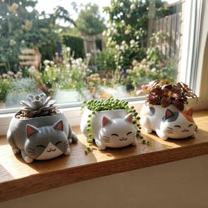 Puede incluir: Tres macetas con forma de gato sobre un alféizar de madera. La maceta izquierda es gris y blanca con una suculenta. La central es blanca con una planta rosario. La derecha es blanca, gris y naranja con una pequeña planta de hojas.